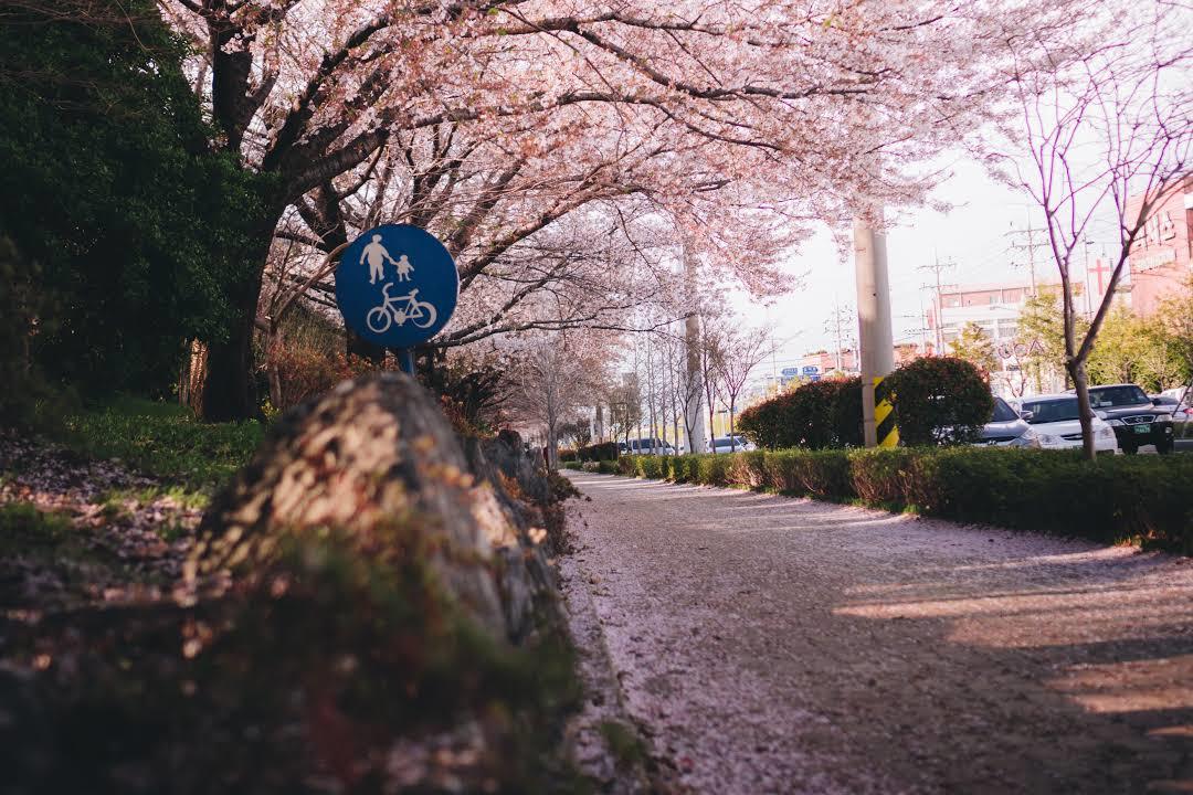Samnak Ecological Park